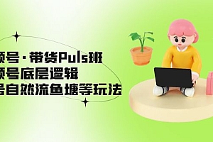 【副业项目5206期】视频号·带货Puls班,视频号底层逻辑,起号自然流鱼塘等玩法