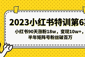 【副业项目5396期】2023小红书特训第6期,小红书90天涨粉18w,变现10w+,半年矩阵号粉丝破百万