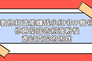 【副业项目2740期】教你打造能赚钱小红书IP账号:你将彻底告别涨粉慢,难以变现的困扰