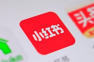 【副业项目2046期】2021 年小红书策划运营方案与报告 爆款打造秘籍