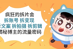 【副业项目5581期】疯狂的拆片会:拆账号 拆变现 拆文案 拆拍摄 拆剪辑 揭秘博主的流量密码