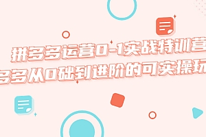 【副业项目5605期】拼多多运营0-1实战特训营,拼多多从0础到进阶的可实操玩法
