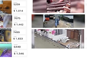 【副业项目5961期】外面收费8000的febspot撸美金 单日收益30美金+工作室可批量搞【详细玩法】