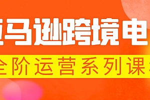 【副业项目5987期】亚马逊跨境-电商全阶运营系列课程 每天10分钟,让你快速成为亚马逊运营高手