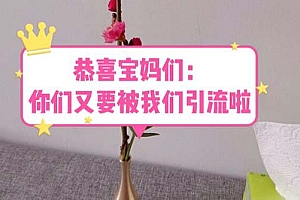 【副业项目5918期】恭喜宝妈们:你们又要被我们引流了(教程+222g资料)