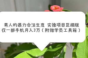 【副业项目5982期】男人的暴力合法生意实操项目巨细版:仅一部手机月入3w(附赠学员工具箱)