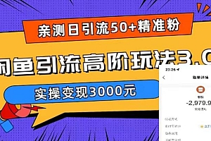 【副业项目5795期】实测日引50+精准粉,闲鱼引流高阶玩法3.0,实操变现3000元