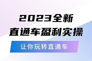 【副业项目5773期】2023全新直通车·盈利实操:从底层,策略到搭建,让你玩转直通车