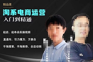 【副业项目6098期】2023手淘搜索实操课+体系化课程,起店起单品实操视频课程
