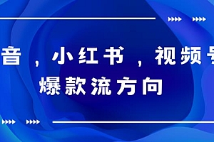 【副业项目6104期】抖音,小红书,视频号爆款流视频制作,简单制作掌握流量密码