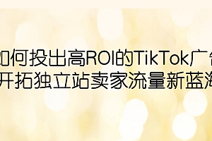 【副业项目6124期】如何投出高ROI·TikTok广告,开拓独立站卖家流量新蓝海