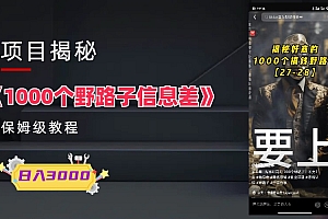 【副业项目6163期】1000个野路子信息差保姆式教程-单日变现3000+的玩法解密