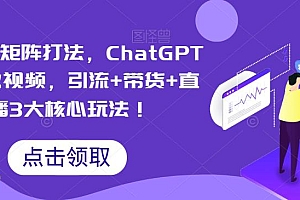 【副业项目6316期】视频号矩阵打法,ChatGPT批量做视频,引流+带货+直播3大核心玩法