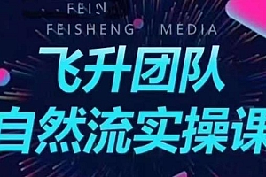 【副业项目6267期】飞升团队课程自然流实操课,抖音半无人起号主播间搭建教学