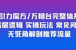 【副业项目6028期】引力魔方/万相台完整体系 底层逻辑 实操玩法 常见问题 无死角解剖推荐流量