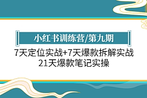 【副业项目6029期】小红书训练营/第九期:7天定位实战+7天爆款拆解实战,21天爆款笔记实操