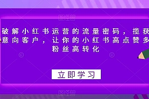 【副业项目6608期】破解小红书运营的流量密码,揽获意向客户,让你的小红书高点赞多粉丝高转化