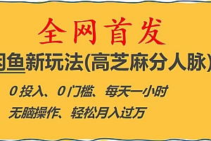 【副业项目6375期】闲鱼新玩法(高芝麻分人脉)0投入0门槛,每天一小时,轻松月入过万【揭秘】