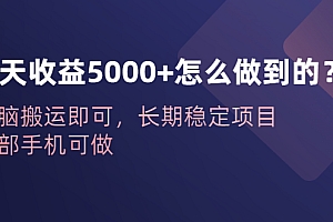 【副业项目6540期】一天收益5000+怎么做到的?无脑搬运即可,长期稳定项目,一部手机可做
