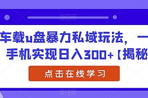 【副业项目6441期】车载u盘暴力私域玩法,一部手机实现日入300+【揭秘】
