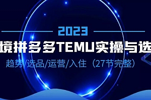 【副业项目6708期】2023跨境·拼多多·TEMU实操与选品,趋势·选品·运营·入住(27节完整)