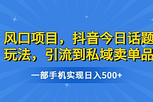 【副业项目6791期】风口项目,抖音今日话题玩法,引流到私域卖单品,一部手机实现日入500+