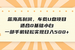 【副业项目6800期】蓝海高利润,车载U盘项目,适合0基础小白,一部手机轻松实现日入500+