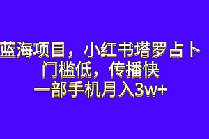 【副业项目6528期】蓝海项目,小红书塔罗占卜,门槛低,传播快,一部手机月入3w+