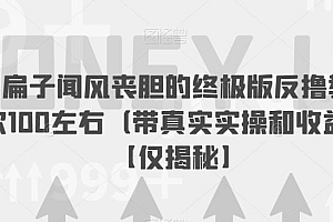【副业项目6849期】让马扁子闻风丧胆的终极版反撸教程,一次100左右(带真实实操和收益图)【仅揭秘】