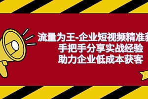 【副业项目6601期】流量为王-企业 短视频精准获客,手把手分享实战经验,助力企业低成本获客