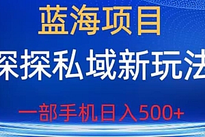 【副业项目6894期】蓝海项目,探探私域新玩法,一部手机日入500+很轻松【揭秘】