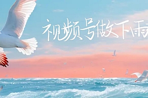 【副业项目6913期】视频号做下雨视频一个账号一周涨粉10W+年入100w