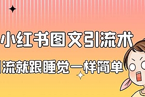 【副业项目7038期】小红书图文暴力引流法,单日引流100+,玩转私域流量跟睡觉一样简单