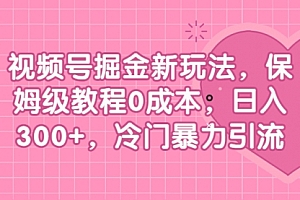 【副业项目7045期】视频号掘金新玩法,保姆级教程0成本,日入300+,冷门暴力引流