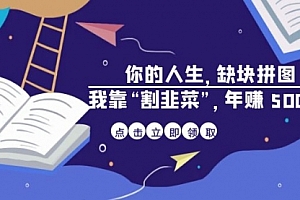 【副业项目7065期】某高赞电子书《你的人生,缺块拼图——我靠“割韭菜”,年赚500万》