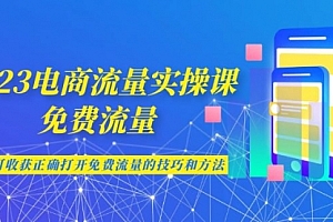 【副业项目7083期】2023电商流量实操课-免费流量,学会可收获正确打开免费流量的技巧和方法