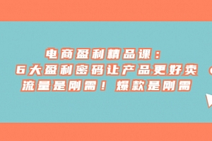 【副业项目7132期】电商盈利精品课:6大盈利,密码让产品更好卖,流量是刚需