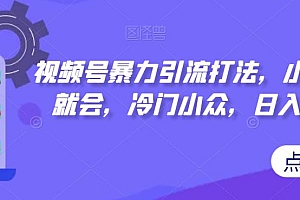 【副业项目7417期】视频号暴力引流打法,小白一看就会,冷门小众,日入300+【揭秘】