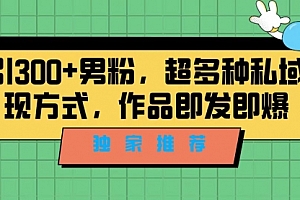 【副业项目7191期】独家推荐!日引300+男粉,超多种私域变现方式