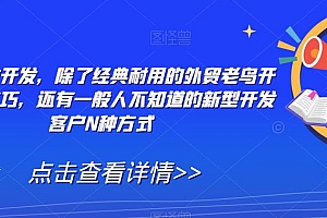 【副业项目7570期】外贸精准开发,除了经典耐用的外贸老鸟开发客户技巧,还有一般人不知道的新型开发客户N种方式