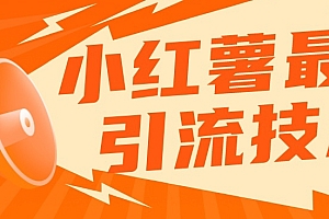 【副业项目7576期】小红书最新引流技术,真正实现解放双手暴力引流