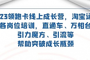 【副业项目7677期】2023领跑·卡 线上成长营 淘宝运营各岗位培训 直通车 万相台 引力魔方 引流