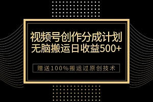 【副业项目7902期】最新视频号创作分成计划,无脑搬运一天收益500+,100%搬运过原创技巧