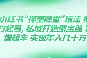 【副业项目7983期】小红书“神童降世”玩法 暴力起号,私域打造聚宝盆