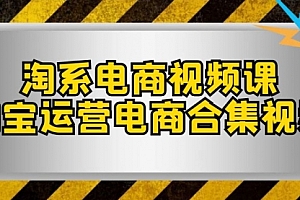 【副业项目8013期】淘系-电商视频课,淘宝运营电商合集视频