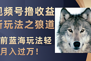 【副业项目8271期】视频号撸收益新玩法之狼道,目前蓝海玩法轻松月入过万!