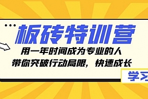 【副业项目8289期】板砖特训营,用一年时间成为专业的人,带你突破行动局限,快速成长