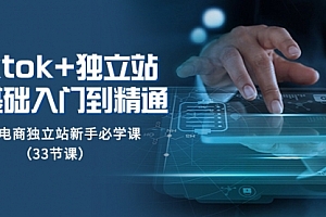 【副业项目8304期】tk+独立站从0基础入门到精通,跨境电商独立站新手必学课