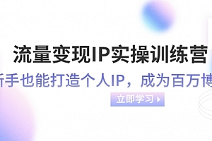 【副业项目8349期】流量变现-IP实操训练营:新手也能打造个人IP,成为百万博主