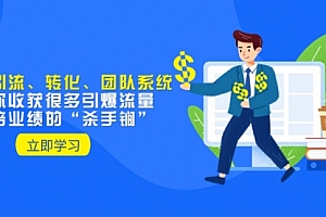 【副业项目8350期】教你打造引流、转化、团队系统,让你收获很多引爆流量、翻倍业绩的